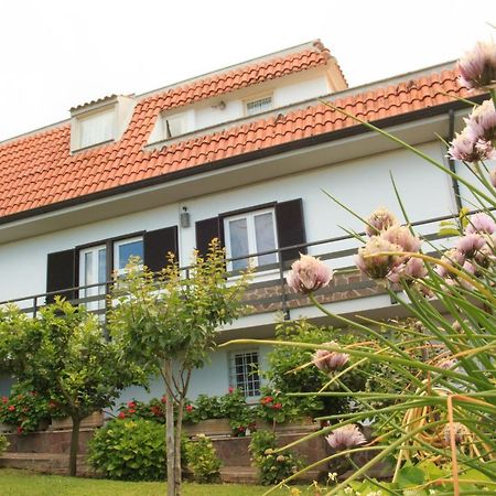 La Casa Di Iole Apartment Cogna Luaran gambar