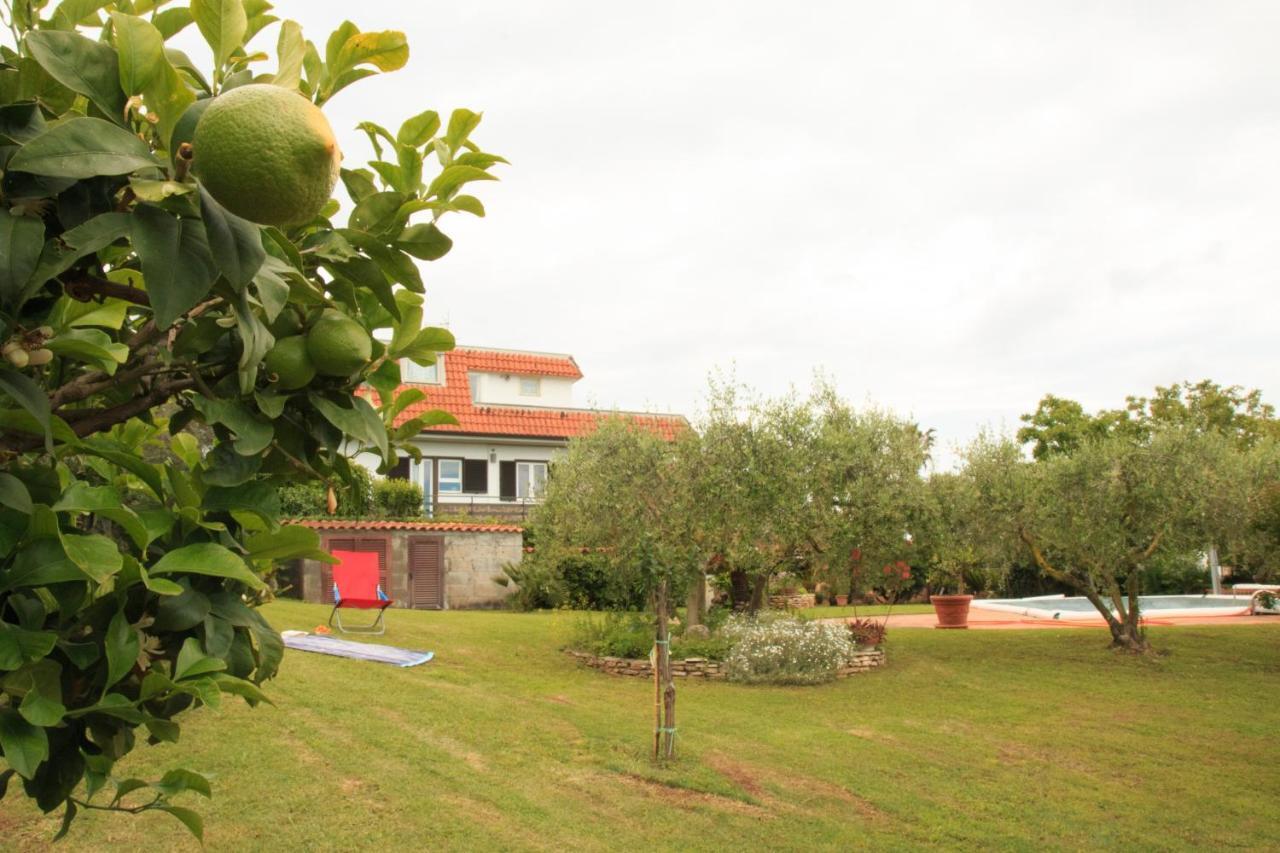 La Casa Di Iole Apartment Cogna Luaran gambar